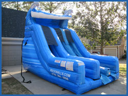 Giant Slide Inflatable